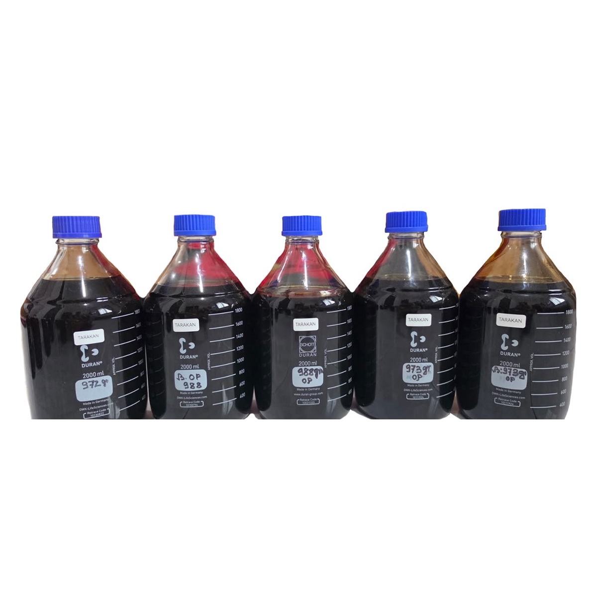 Oil, Kalimantan & Irian Jaya